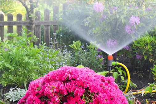 Lawn Care Lawn Care